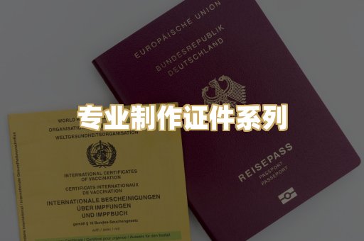 专业制作证件系列